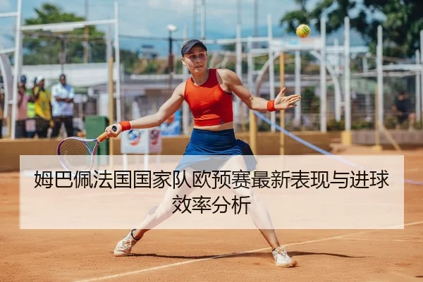 姆巴佩法国国家队欧预赛最新表现与进球效率分析（loltouzhu）